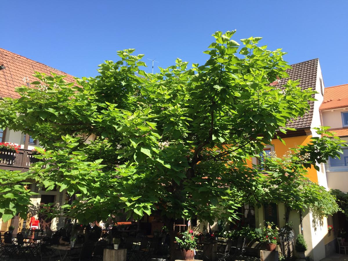 Gasthof Zum Storch Prichsenstadt Exterior photo